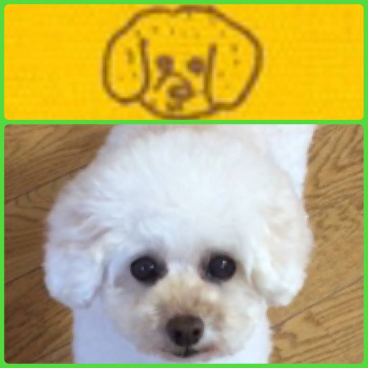 979197c0 d39f 47f0 90b4 e9a602163b72