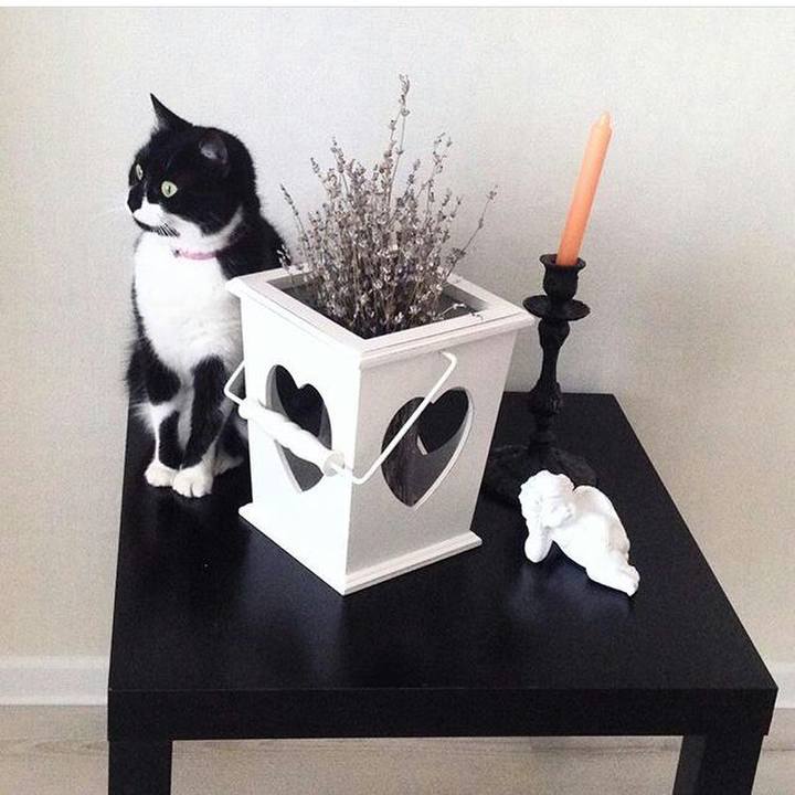 9791a485 d62e 4b33 80c5 385927244a4a