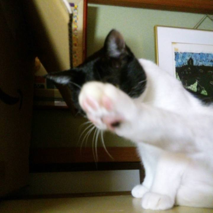 9791ba57 d320 4ef8 abce 937db3df5338