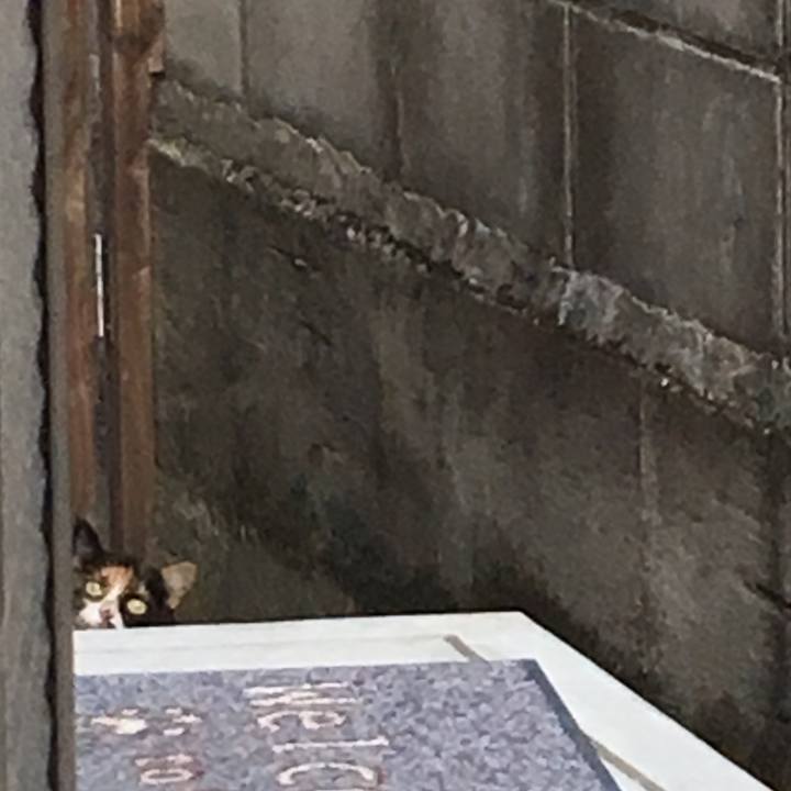 9791bbf6 06ad 450a bc7f 00f7ca88f8ff