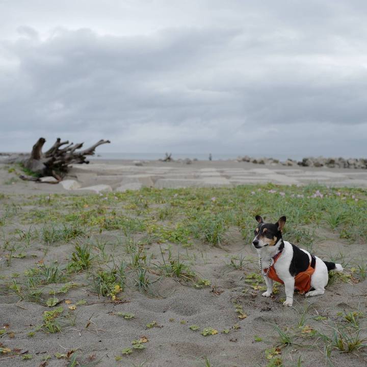 9791f23e 8eb1 4543 bf5b 73baf1027cb2