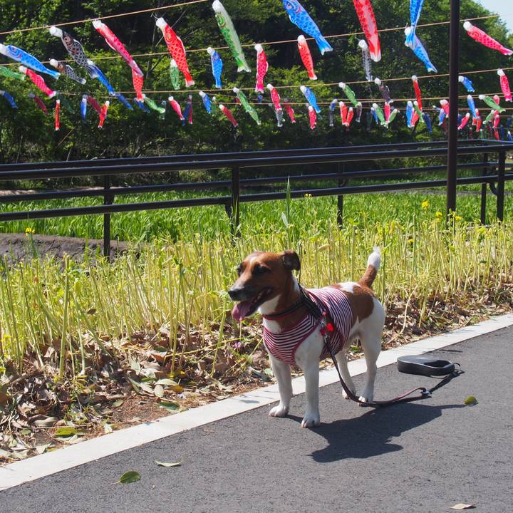 97920562 97fe 4274 a9c1 7912a16b6923