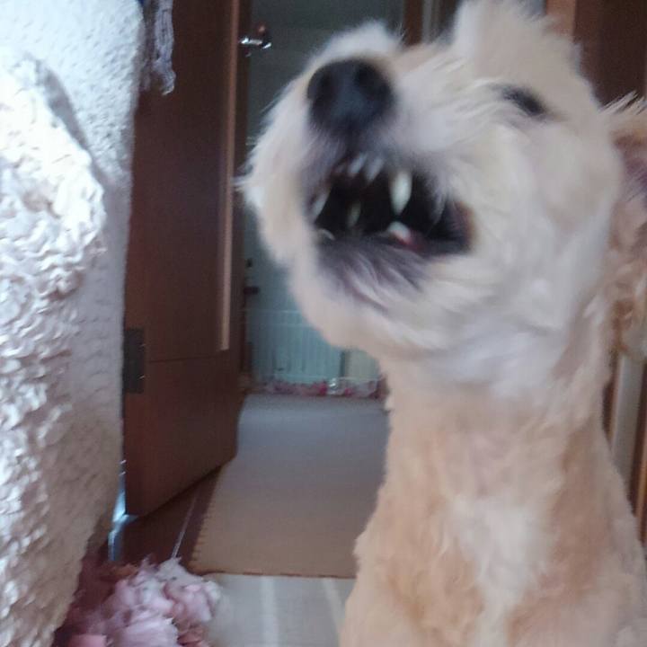 97926731 0ade 446c a953 cbc6aa0c3e45