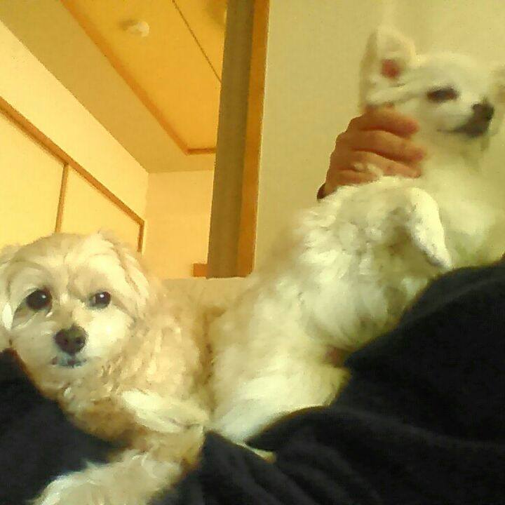 9792a482 3ca0 4330 8fa7 04f4c17655c9