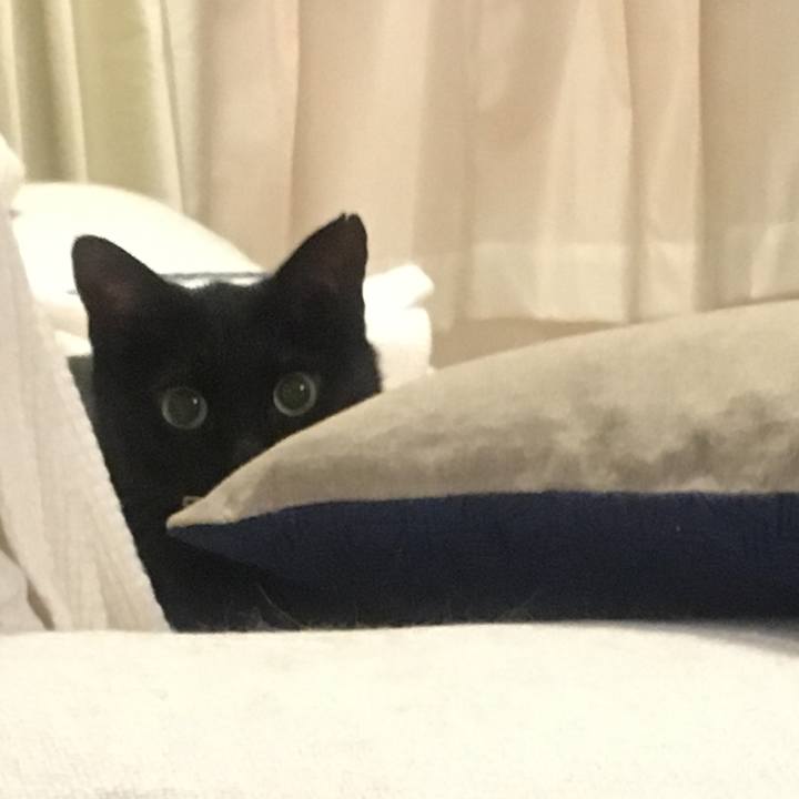 9792e604 ef96 44a2 b4c1 dbc592b14f38