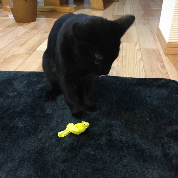 979384da eb6d 42cc 800c 5a501827e7b7