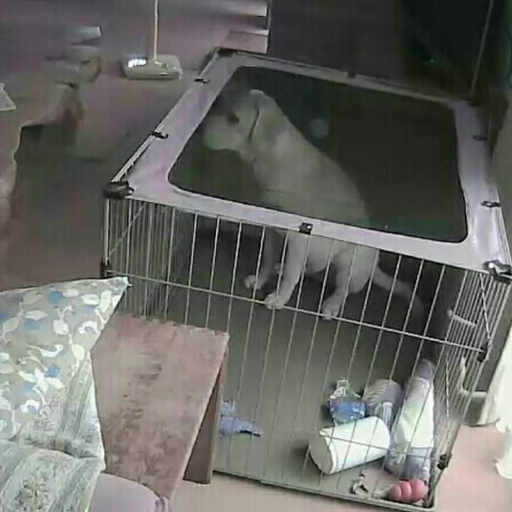 97939fed 143a 41c8 a12a dccca0489139