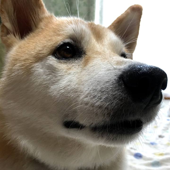 97946f12 3957 48ed ac7b 0688fca7af30