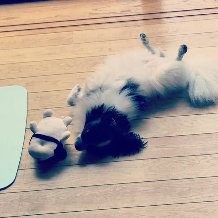 9794e565 477b 4ad1 b840 fbbab6055ab0