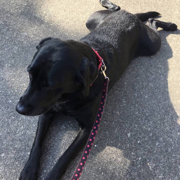 979613fd 7b92 4f48 a1d8 453e12c7d734