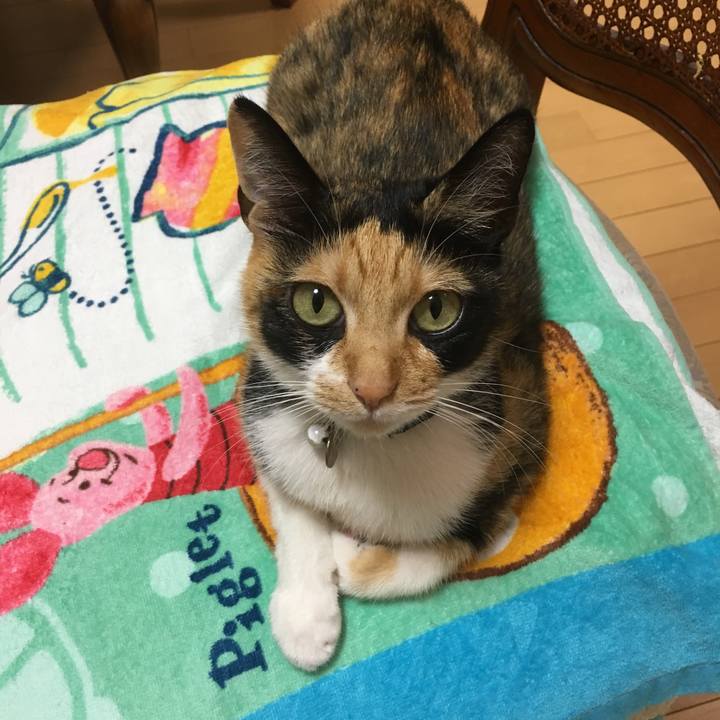 9797714c 271c 4cf6 bbc9 5541372f47dc