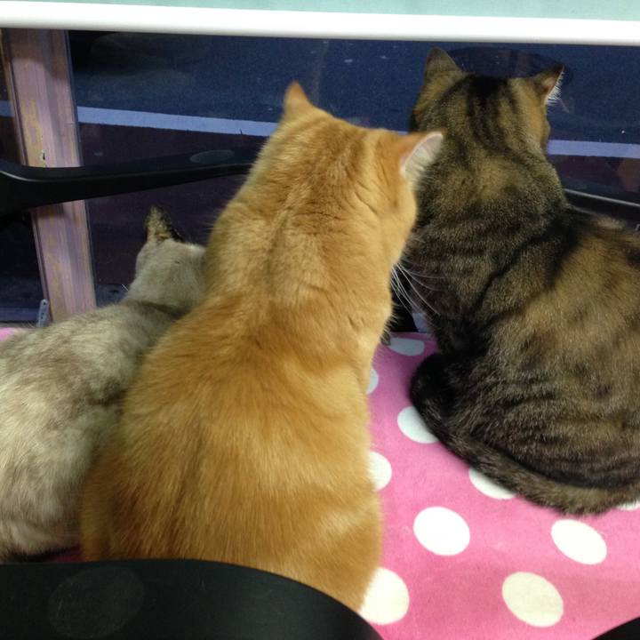 97982afb 389f 4164 a0e8 84decedefe58