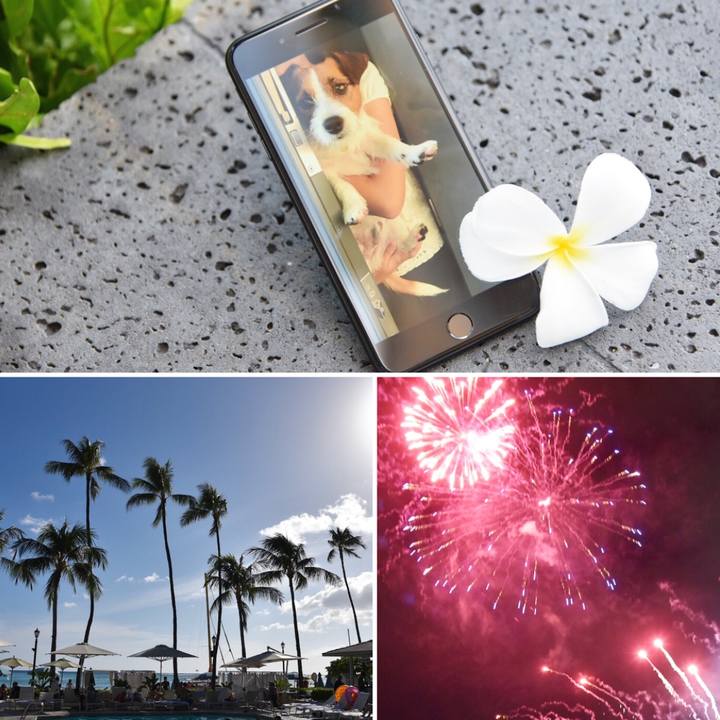 979837e1 e13d 43ec b324 b816289a7ece