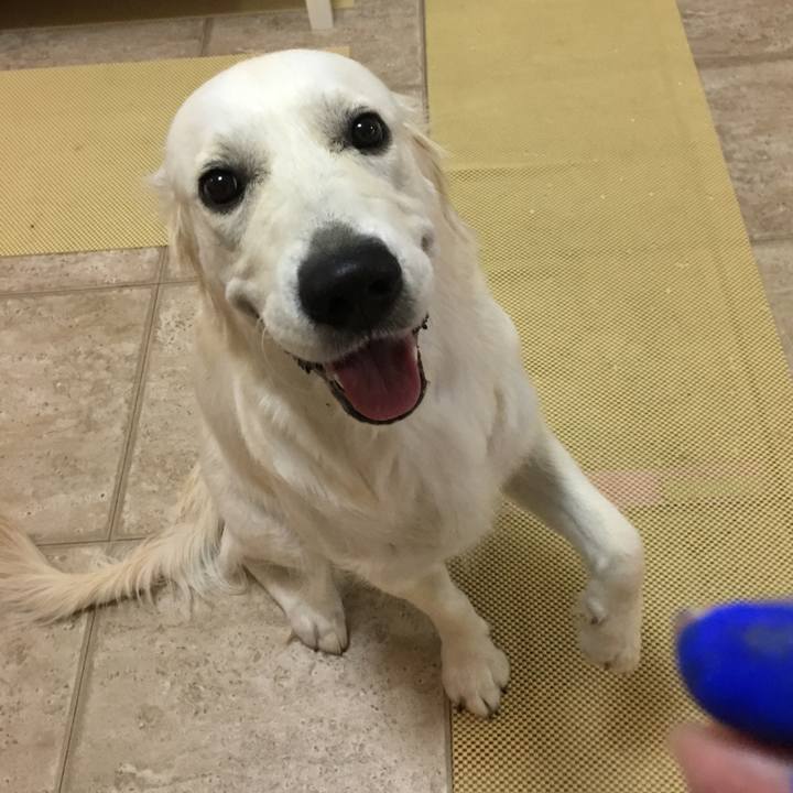 97984941 7db2 4704 ae68 77587627a353