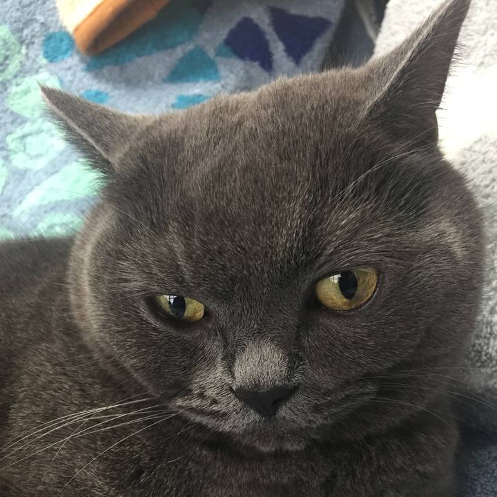 97987435 0e24 4621 8b79 836369164873