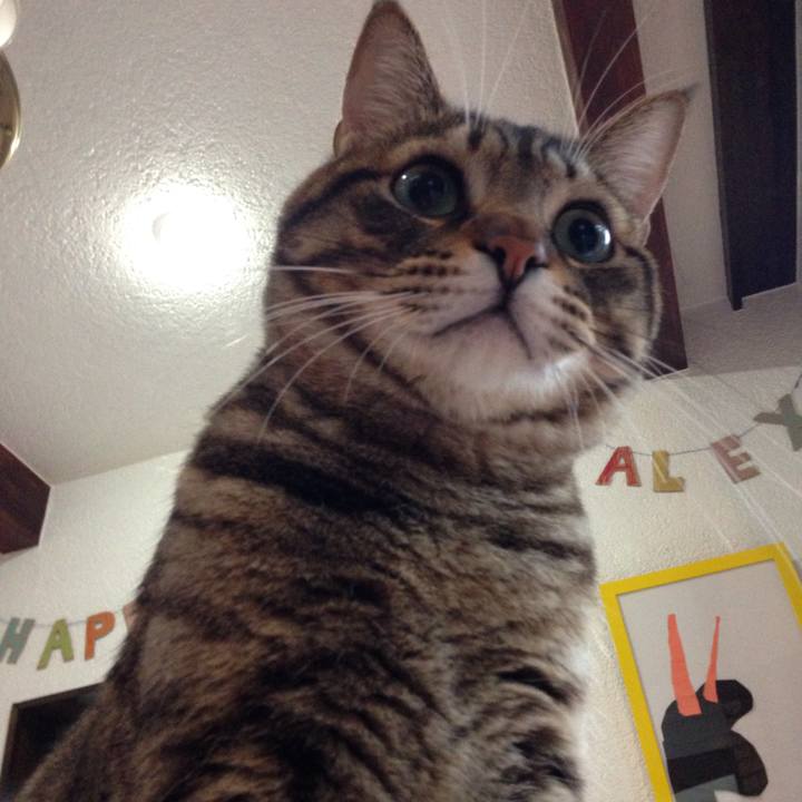 9798dcae 340e 4b71 a335 67c063da69f8