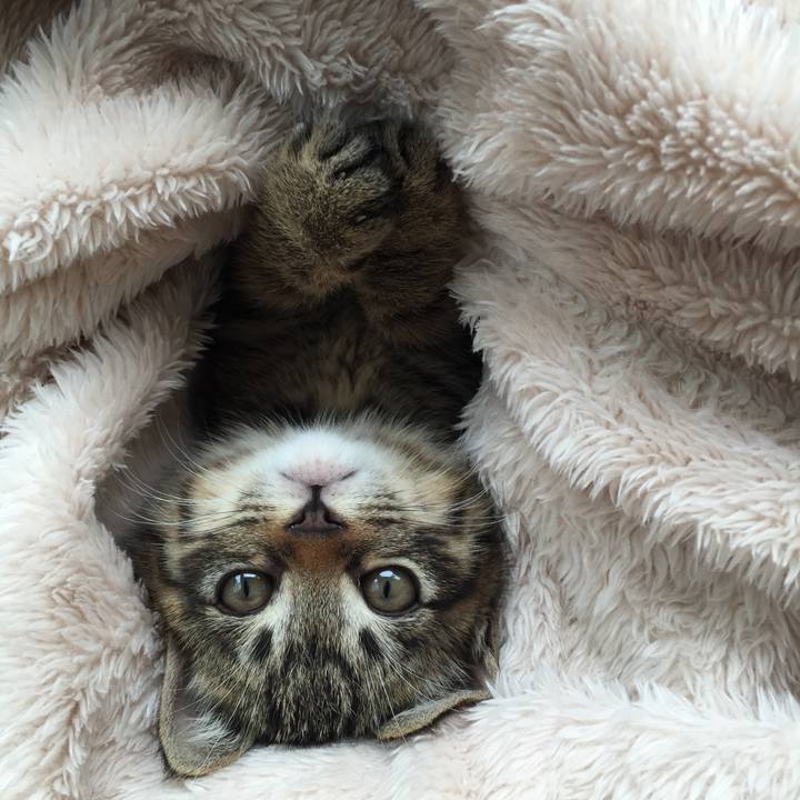 9798e42b 071a 4150 9c70 c832d7c2aee6