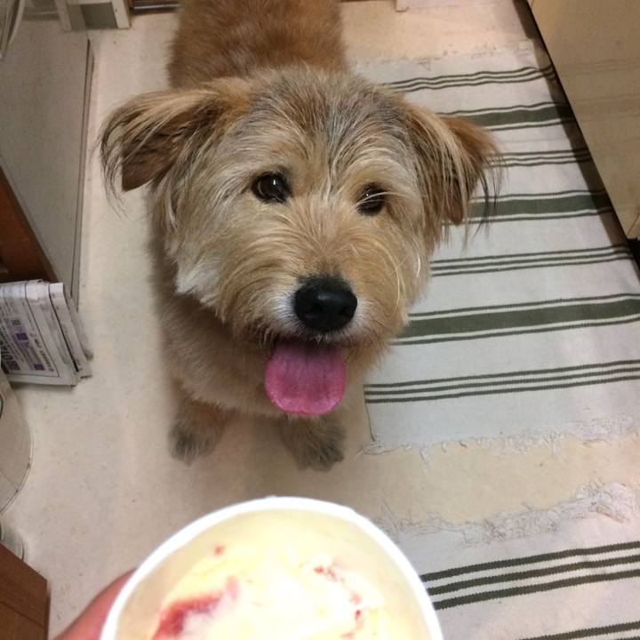 979936e5 a8b3 4031 928c 914685f69c1b