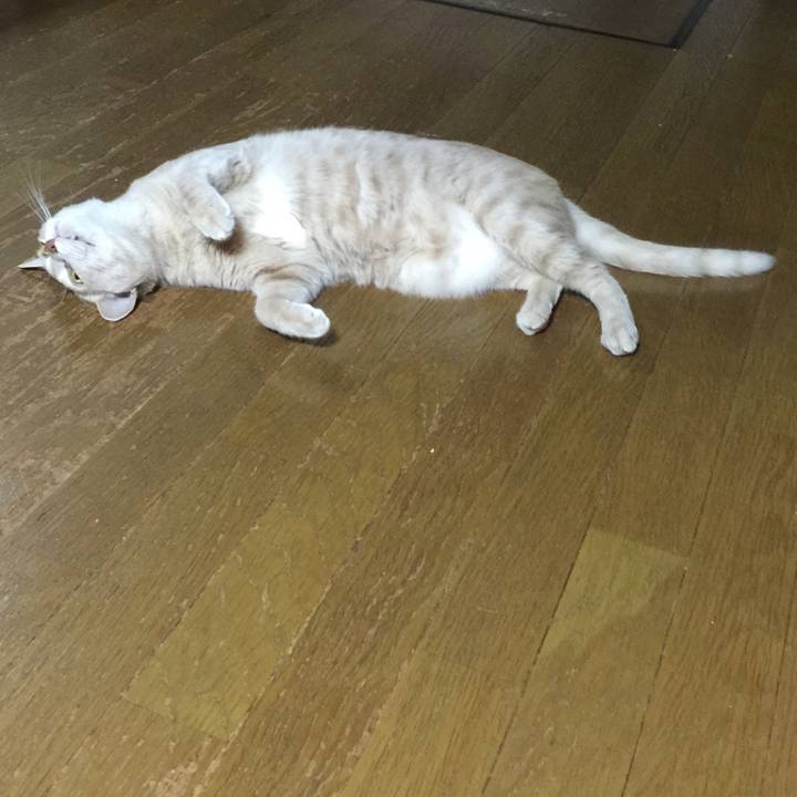 979a4f44 f0a6 471d 9824 ed625c3a534e