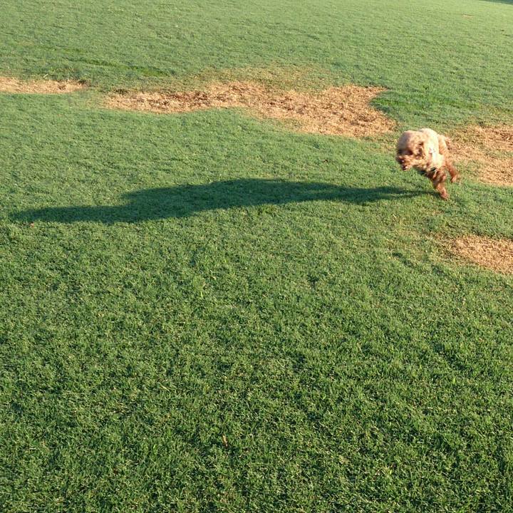 979ae031 ed0b 45ba 9f2d 193925787225