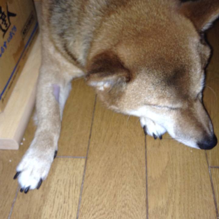 979b1251 8ef7 49a2 97d2 4ff92a875aef