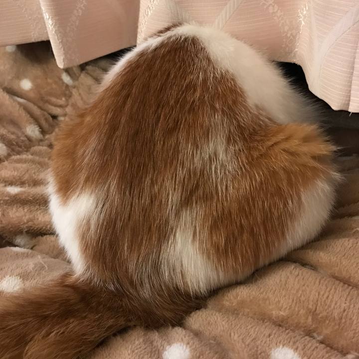 979b56c3 af7a 403e 8616 7bf3480a9aa3