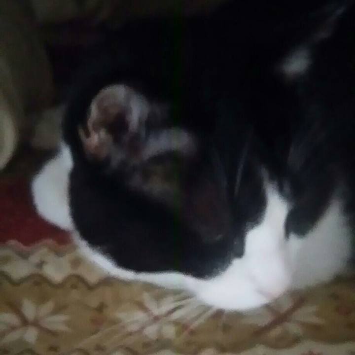 979bf8c9 ecbd 4585 9de6 f1c8168fbf4e