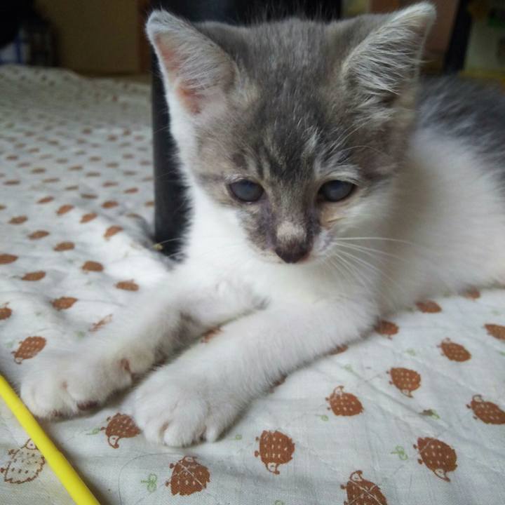 979c17a6 bf91 4136 8a29 f93573aaac8f