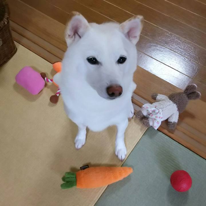 979c18ed 5cc3 4e2d 91c0 e58e50639d29