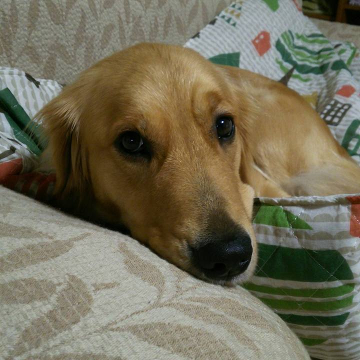 979c2f75 23a5 4d2f 8ed6 87c3fbd4d03c