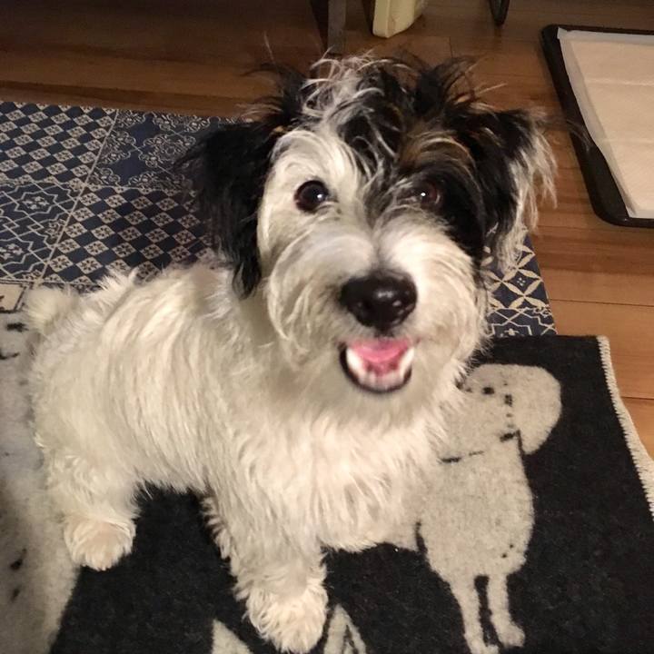 979c76c2 3990 431a 9c1f 84b927943f01