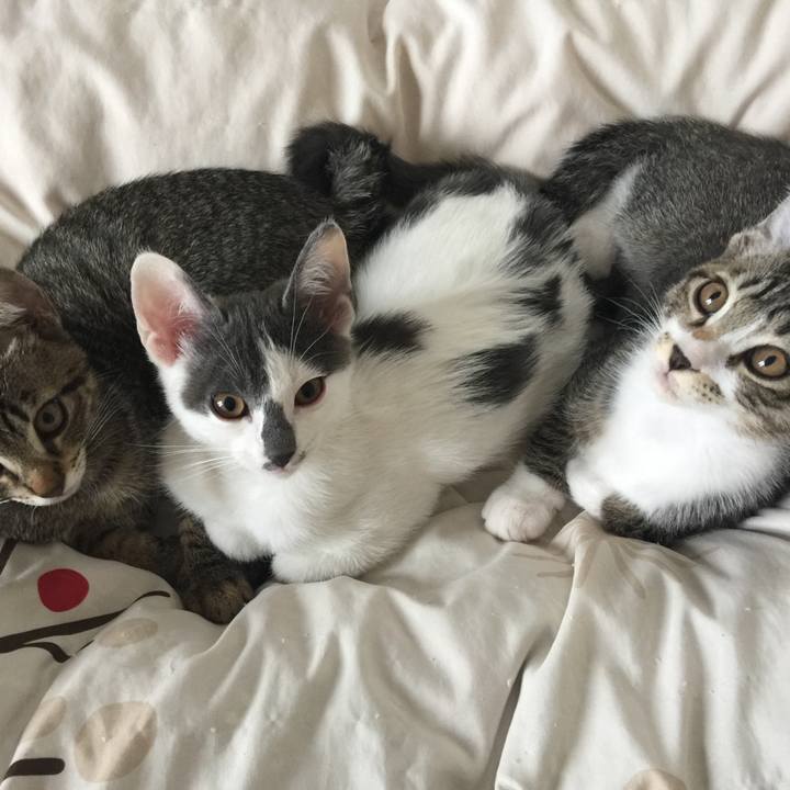 979cf7ee 29c2 46a9 9172 d37c48cd46f5