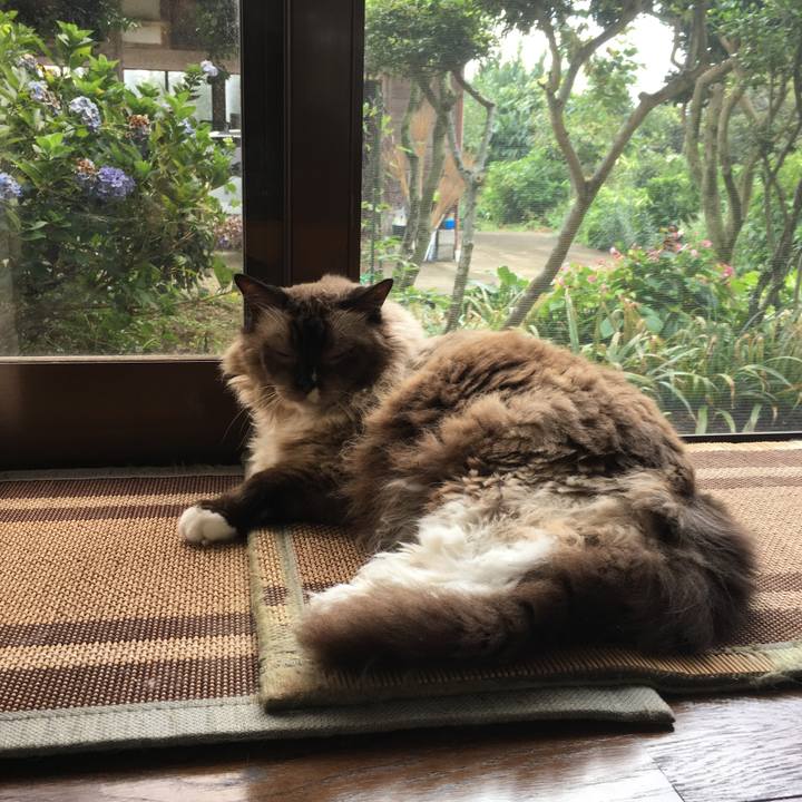 979d3436 1782 48ec 9416 ccf74bc8b55d