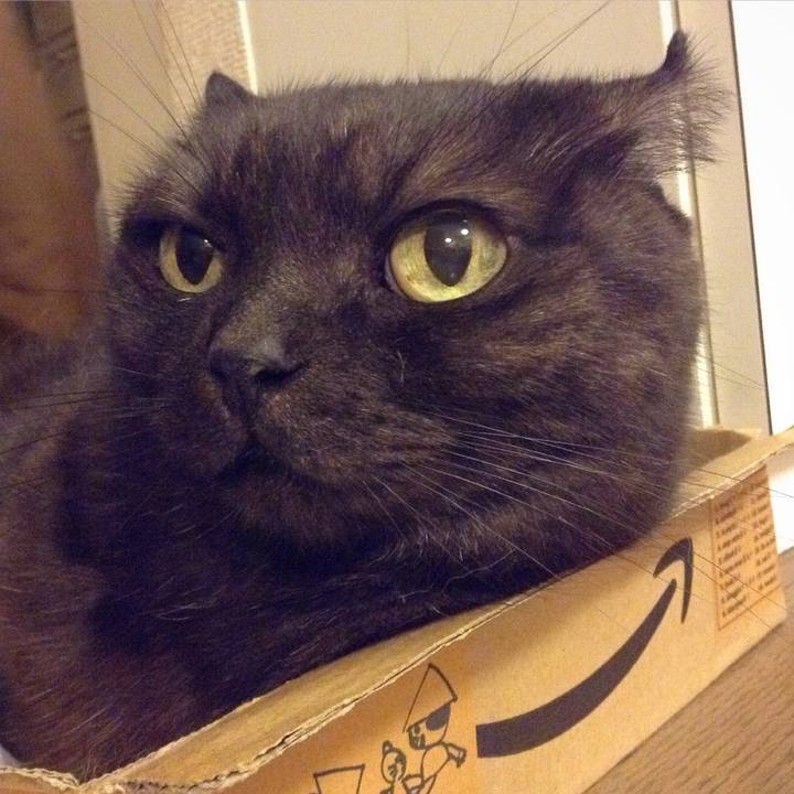 979d3659 0f7f 4a60 aa76 d185b345f92e