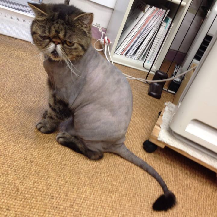 979d7119 39c8 42bd 8c70 9bc491ef213d