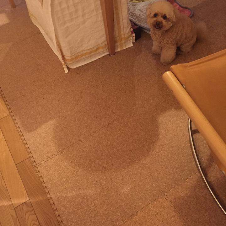 979d7671 3e02 4da4 975c 61f0edfd99f5