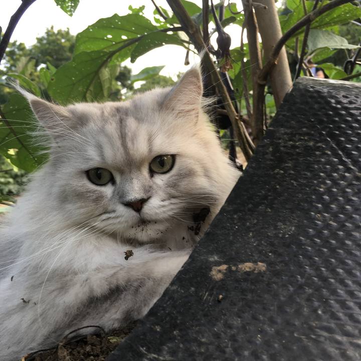 979e3dfa be5f 4f33 80fb 52702de20008