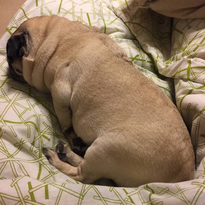 979e4026 75ea 4c5f 9356 8ac21173296a