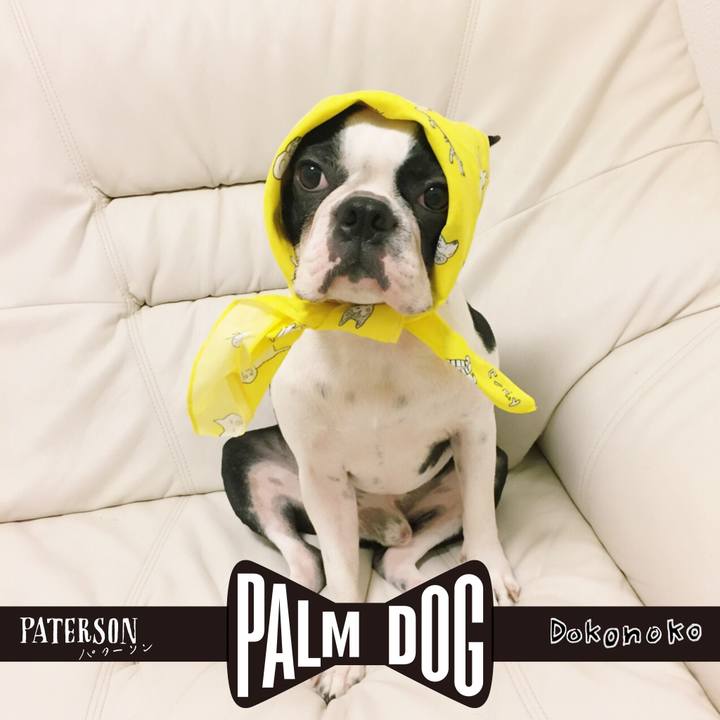 979e7b7b f2dc 423f 805c ed4218663fc0