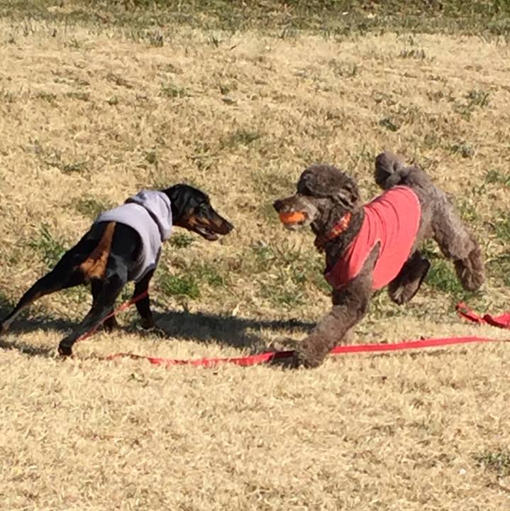 979f6dd6 24e5 4c31 8713 cf558b3ee3c4