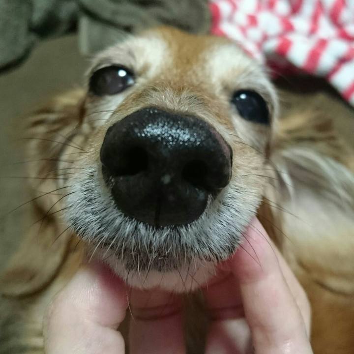 979f77e3 4164 4c88 8227 d0258646f2af