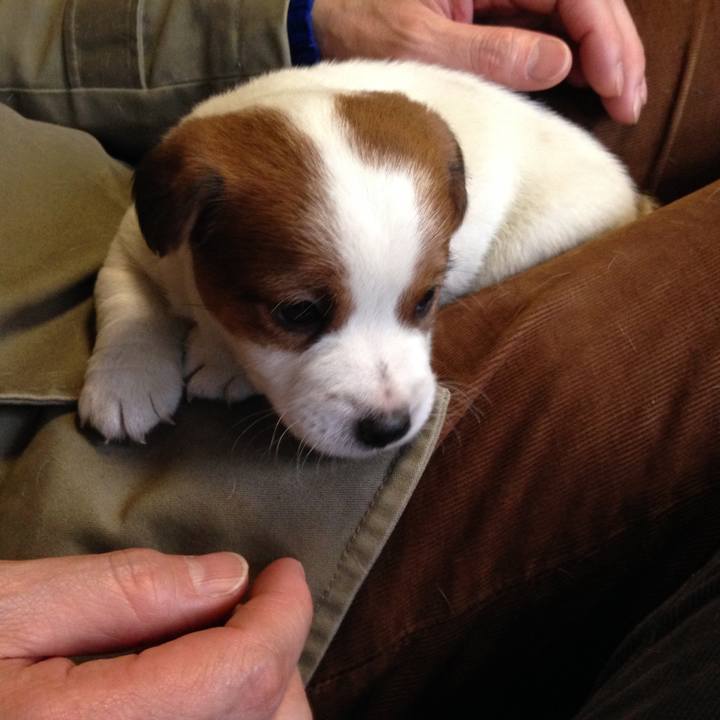 979fe549 9748 45d8 9a1b 4149dac0eee9