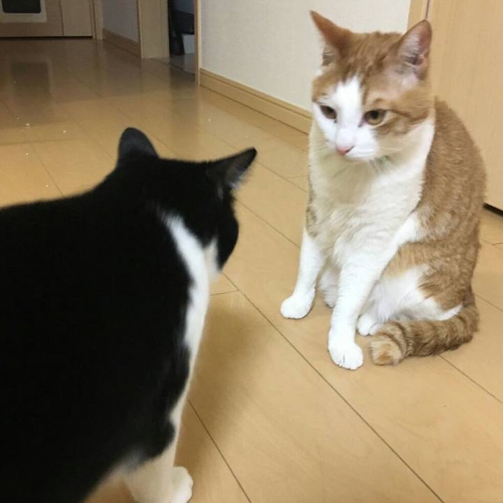 97a077b1 8a28 4b0b b9b1 ae39f750ebff