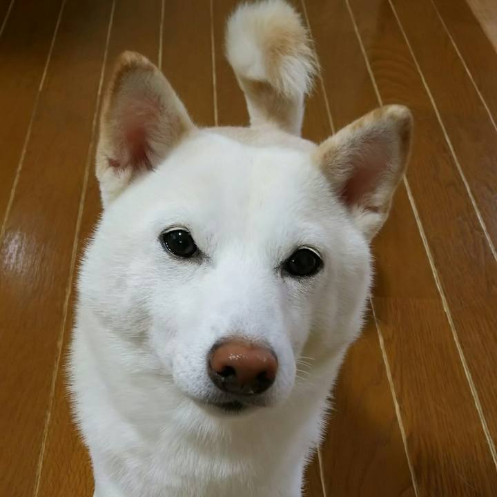 97a0ab0f 7d0c 4cd6 854b 6fa7a58c97b5