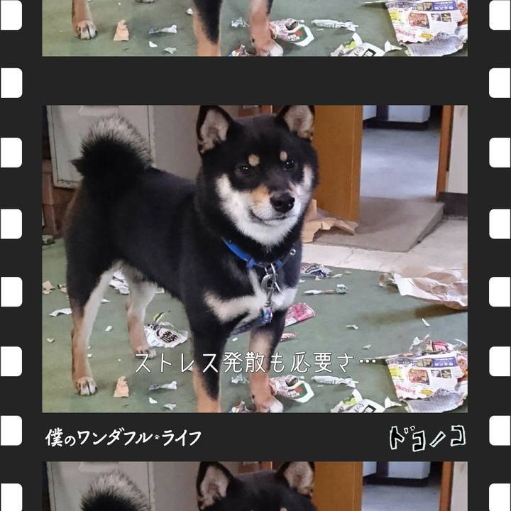 97a0b63c da67 45a2 b44c ec4d8e22a449