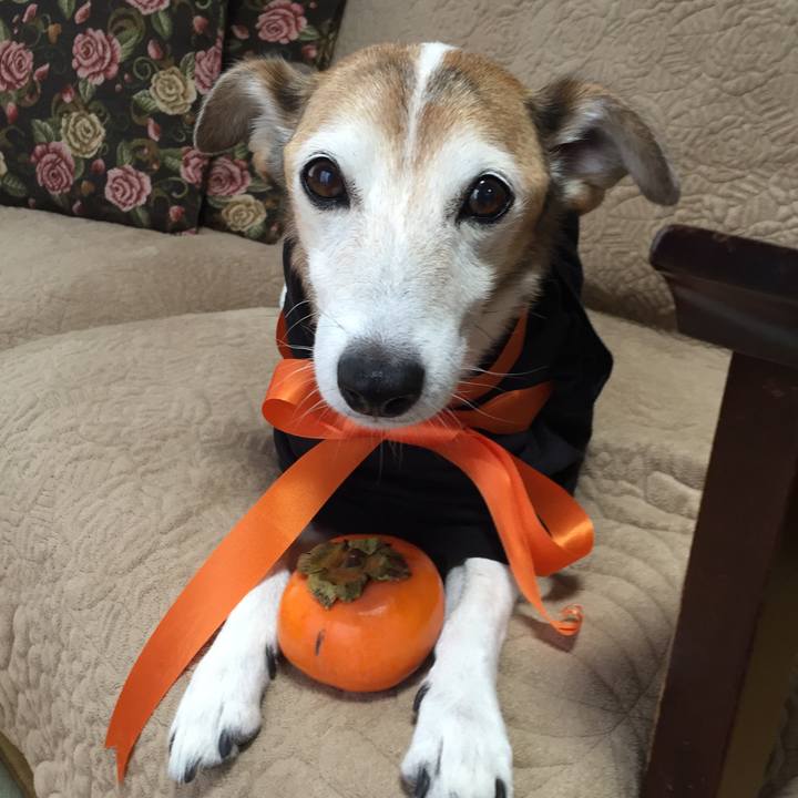 97a0cf06 db3d 48b5 a90a 8a80c5930a9c