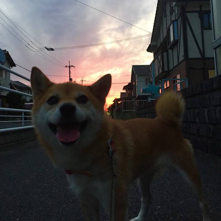 97a0f32b 12f9 4bee 879a 8aadd74dada3