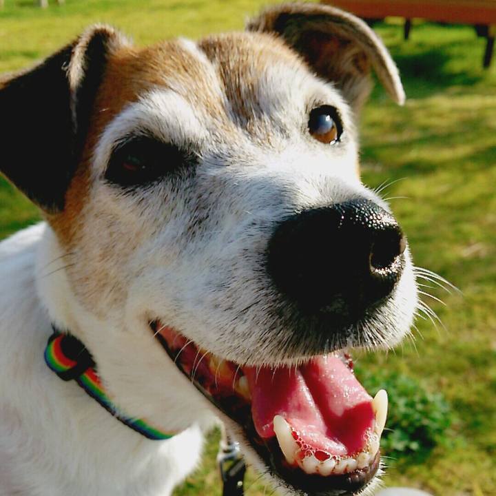 97a0f680 2fd2 47c0 8cad 319529c14949