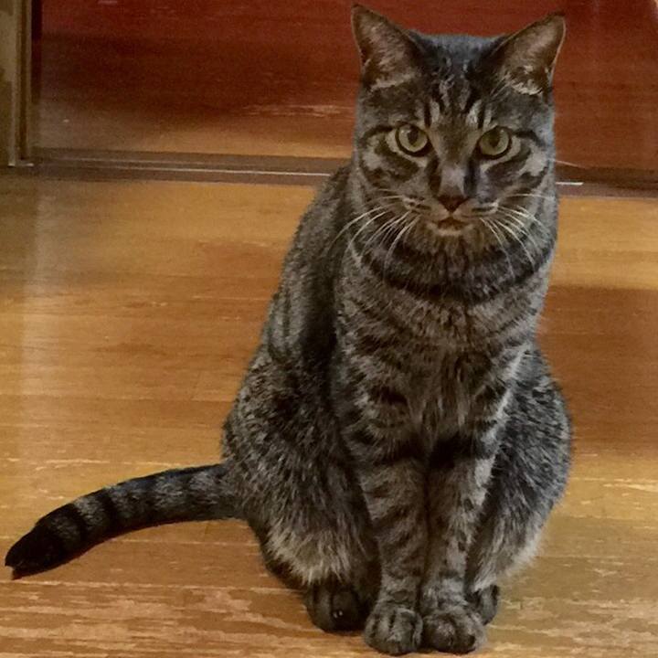 97a1c9ac 1039 4716 971c bfe5eab384cc