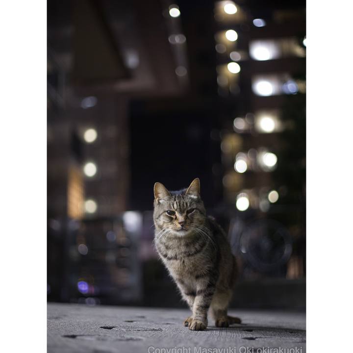 97a3252d 082f 48b9 923b 1bcdec4b1f6b